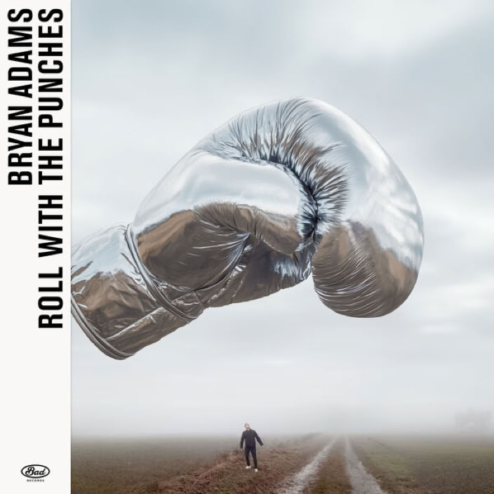 Cover Vinyl LP Bryan Adams Roll With The Punches
